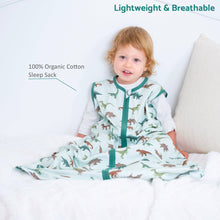 Load image into Gallery viewer, Have A T-rexcellent Day Baby Sleep Sack, 100% Organic Cotton