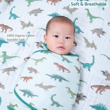 Load image into Gallery viewer, Have A T-rexcellent Day Sleep Swaddle 100% Organic Cotton