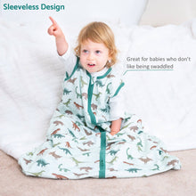 Load image into Gallery viewer, Have A T-rexcellent Day Baby Sleep Sack, 100% Organic Cotton