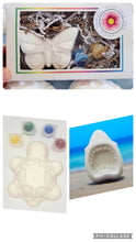Load image into Gallery viewer, Pyo Bath Bombs ( Paint Your Own )