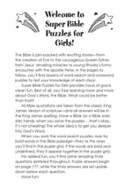 Load image into Gallery viewer, Super Bible Puzzles
