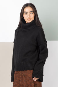 Turtleneck Solid Cozy Sweater Top