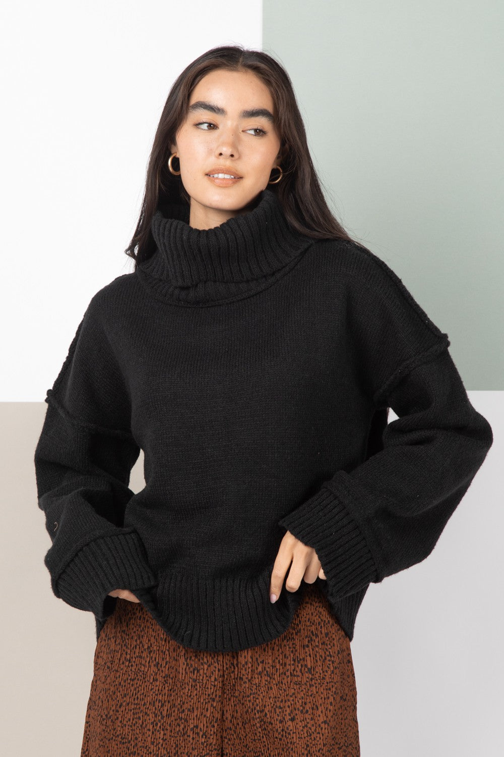 Turtleneck Solid Cozy Sweater Top