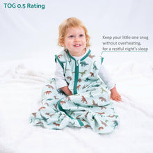 Load image into Gallery viewer, Have A T-rexcellent Day Baby Sleep Sack, 100% Organic Cotton
