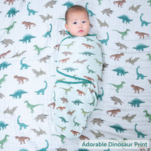 Load image into Gallery viewer, Have A T-rexcellent Day Sleep Swaddle 100% Organic Cotton
