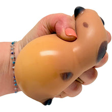 Load image into Gallery viewer, Capybara Squeeze Toy
