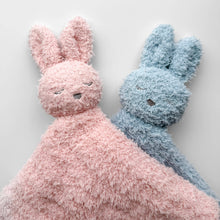 Load image into Gallery viewer, Little Snuggles Lovey - Bunny
