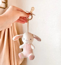 Load image into Gallery viewer, Itzy Ritzy Bitzy Pal™ Natural Rubber Pacifier &amp; Lovey - Bunny
