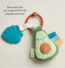 Load image into Gallery viewer, Itzy Ritzy Itzy Pal Infant Toy
