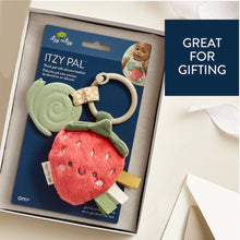 Load image into Gallery viewer, Itzy Ritzy Itzy Pal Infant Toy
