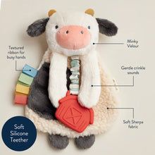 Load image into Gallery viewer, Itzy Ritzy Itzy Lovey Plush And Teether Toy
