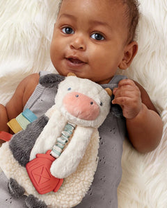 Itzy Ritzy Itzy Lovey Plush And Teether Toy