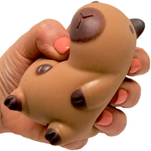 Load image into Gallery viewer, Capybara Squeeze Toy
