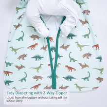 Load image into Gallery viewer, Have A T-rexcellent Day Baby Sleep Sack, 100% Organic Cotton
