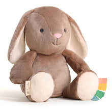 Load image into Gallery viewer, *NEW* Sweetie Snuggles™ Plush
