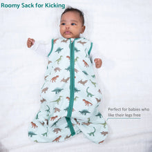 Load image into Gallery viewer, Have A T-rexcellent Day Baby Sleep Sack, 100% Organic Cotton
