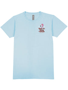 Simply Southern Short Sleeve Tee--Flamingo Christmas--Sky