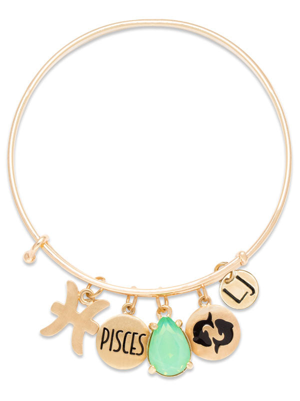 Pisces hot sale charm bracelet